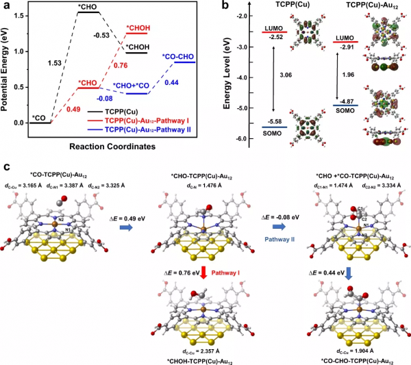 蘇大彭揚/程濤Nature子刊：Cu MOF中的Au活化N，助力CO2RR產乙烯