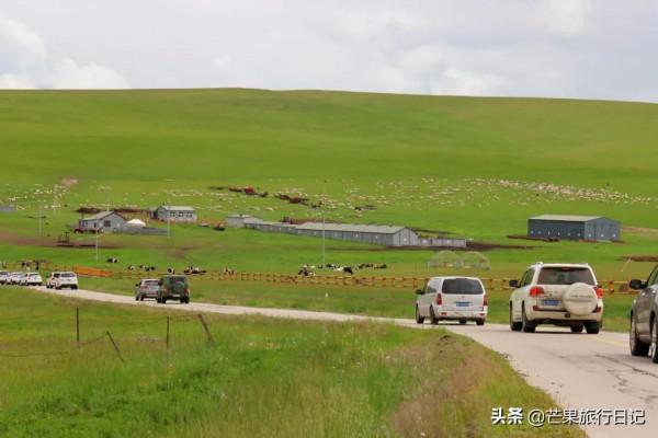 內蒙呼倫貝爾自由行，倆女生7天花費3200元，看看一路吃喝明細