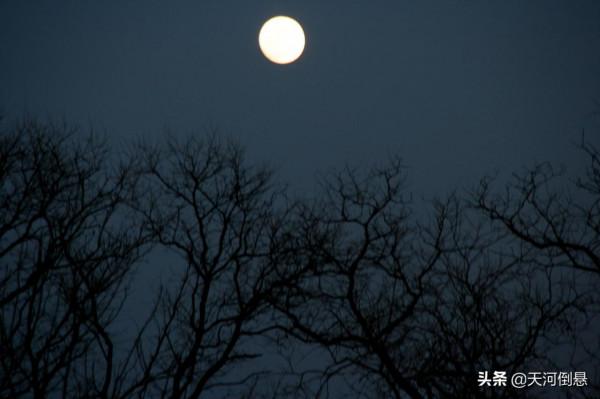 當代故事：小夥在荒山過夜，不慎掉入古墓，看到棺蓋自己緩緩推開