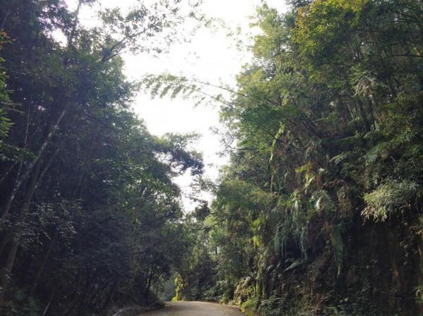 疫情困擾下，旅程依然勇毅前行——2021年個人自駕遊小結