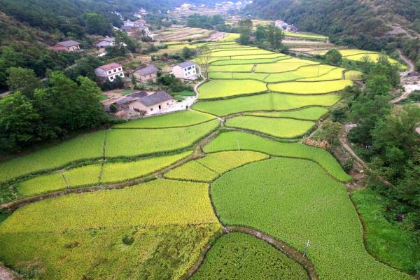 農村有地的注意,外遷戶口落戶城裡,村裡可以收回承包地嗎? 農村有地的注意,外遷戶口落戶城裡,村裡可以收回承包地嗎?