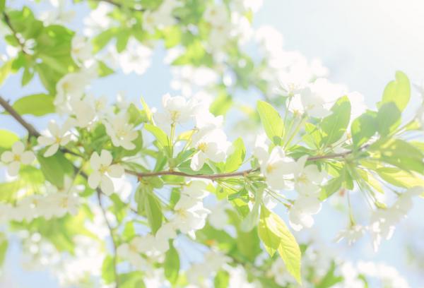 魔鈴塔羅:巨蟹座10月運勢,狀態比較平穩,沒有太多問題出現 魔鈴塔羅:巨蟹座10月運勢,狀態比較平穩,沒有太多問題出現