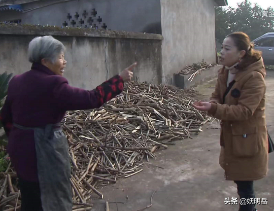 為搶要徵收的房子，父母造謠女兒有婚外情，女兒斷供500元贍養費