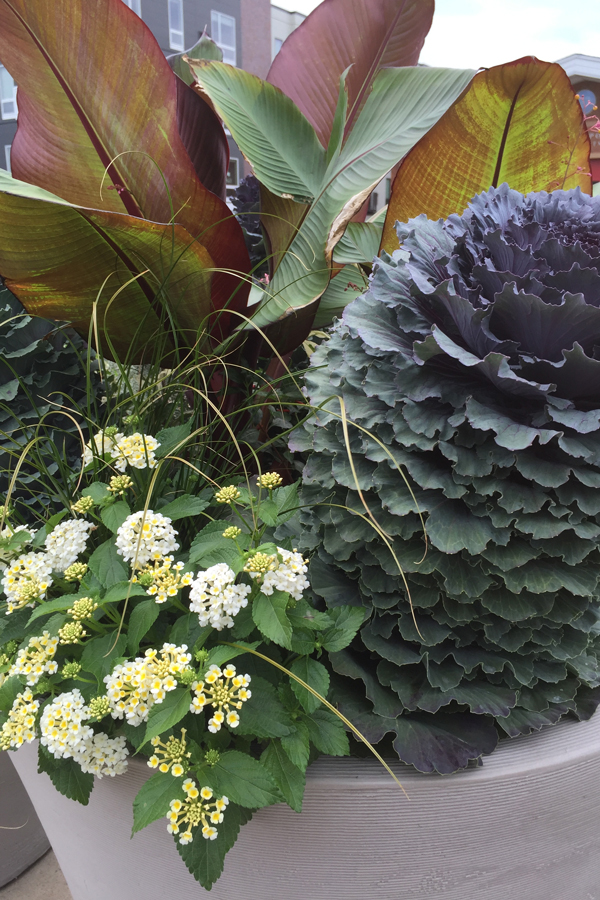 10個打造秋季花園的大膽創意，是時候讓五顏六色的花卉綻放啦