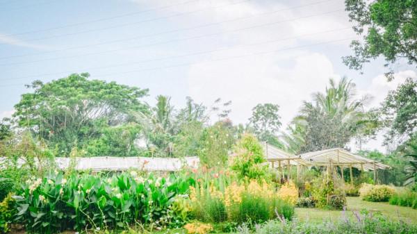 印尼旅遊不可錯過的一站：火山下的夢幻仙境，隨手一拍就是大片