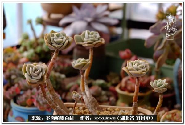 時光匆匆，一閃而逝，這世間萬物的美，都值得被記錄