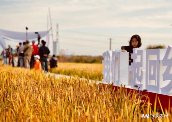 農村也將“先富帶後富”?返鄉創業正式進入推廣期,先下手先翻身 農村也將“先富帶後富”?返鄉創業正式進入推廣期,先下手先翻身