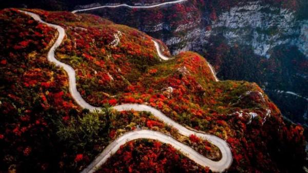 金秋十月，推薦大河南幾個看紅葉的地方，太美了！建議收藏