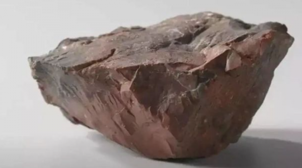 美國“送”給荷蘭的月球岩石是假貨？月岩變木化石，玩笑開大了