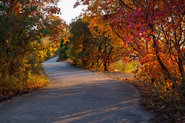 靈山秀水,漫山紅葉......一到深秋,這個被人遺忘的世外桃源又美成仙! 靈山秀水,漫山紅葉......一到深秋,這個被人遺忘的世外桃源又美成仙!