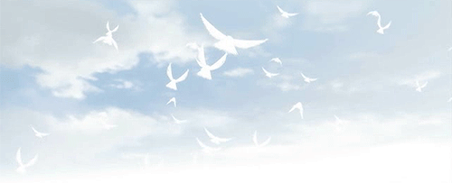 2022，最好的生活狀態