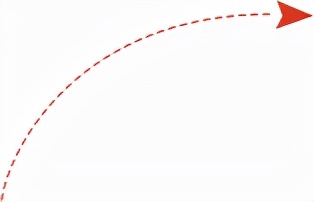 又野又美的“荒野風”花藝,太上頭了 又野又美的“荒野風”花藝,太上頭了