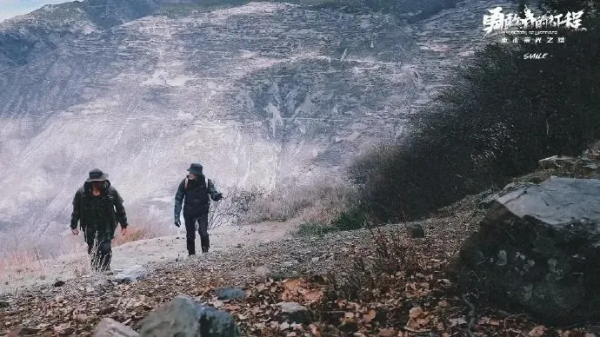 王力宏都塌房了，娛樂圈真正的清流在這裡