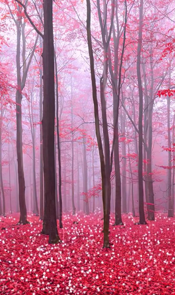 放開三胎,世相百態 放開三胎,世相百態