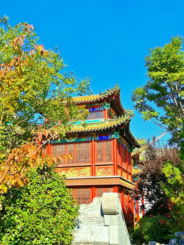 博山金秋紅葉美