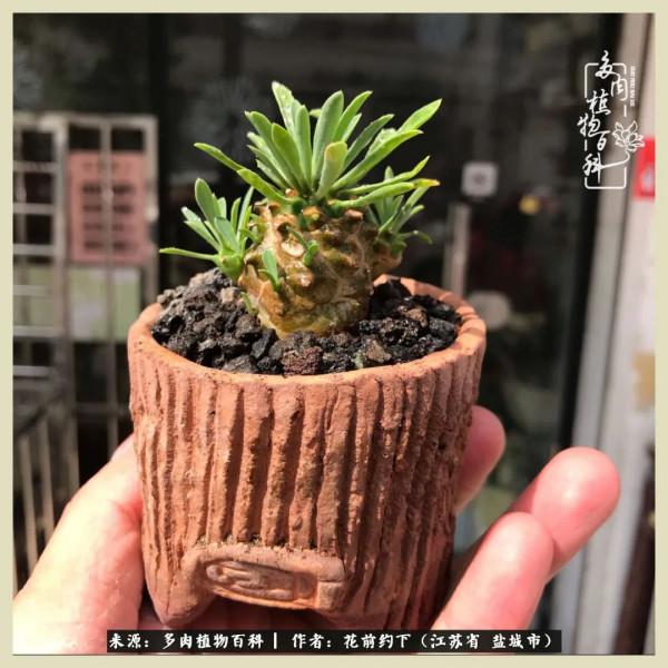 你儘管善良,福報都在路上 你儘管善良,福報都在路上