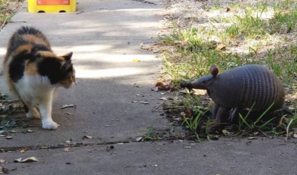 45張照片！讓你看到驚奇無比，難以想象的神奇的大自然