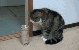 感覺孩子越長越醜,去醫院一查居然是病... 感覺孩子越長越醜,去醫院一查居然是病...