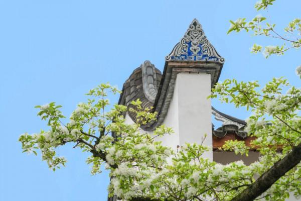 遇見世遺 | 發掘古厝內涵,講好榕城故事 遇見世遺 | 發掘古厝內涵,講好榕城故事