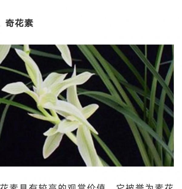 為什麼很多人養花養不活