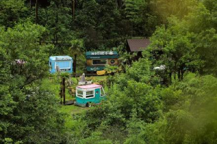 這樣的森林小木屋你可喜歡？