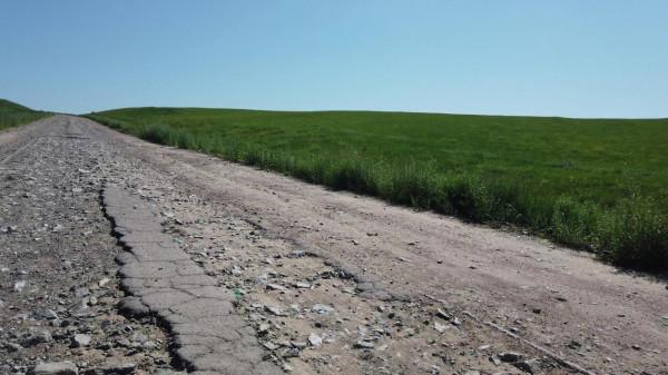 自駕邊境——風吹草低見牛羊 自駕邊境——風吹草低見牛羊