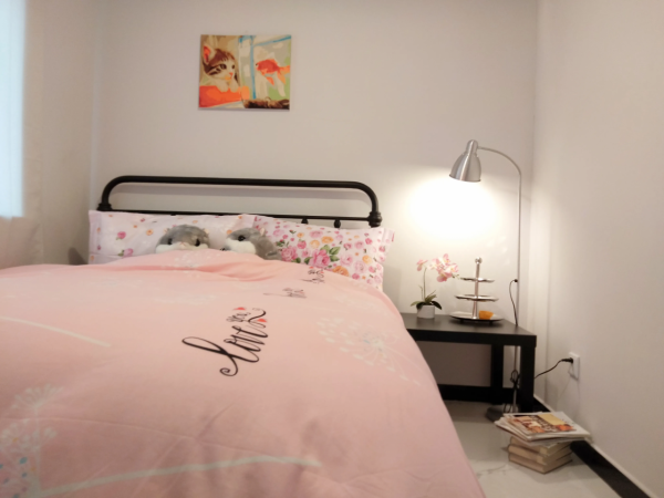 160平 座標一線城市，你選擇一套大戶型還是二套中小房型？