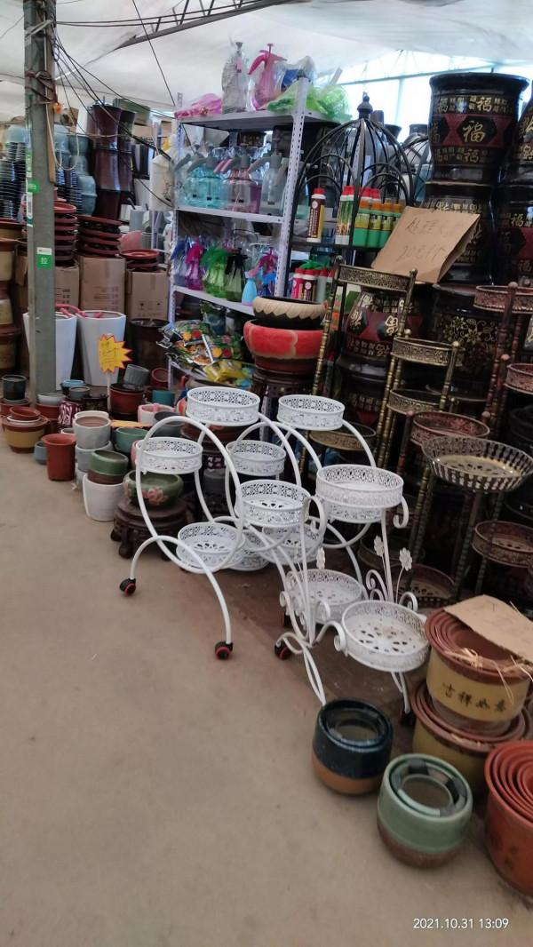 喜歡花的人就愛逛花市 喜歡花的人就愛逛花市