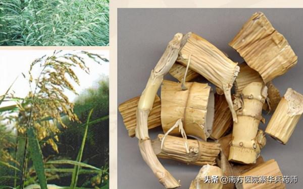 一位中藥師的課堂筆記：治咳嗽方子大全（補充篇）較多，建議收藏