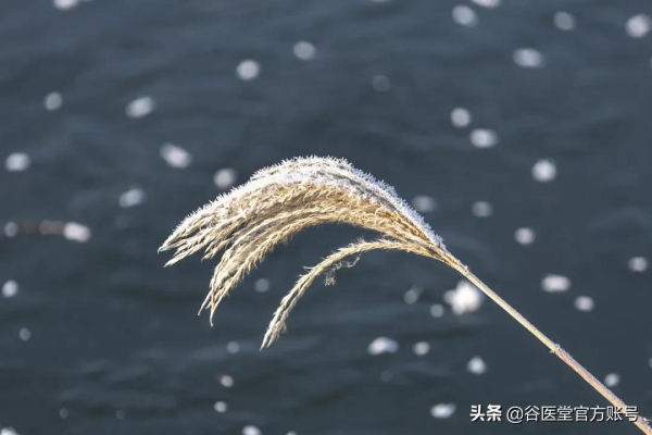 小雪天寒，糖尿病患者日常注意這7點，幫助健康過冬