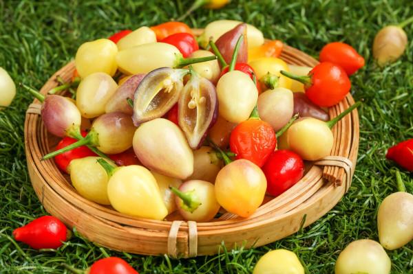 醬泡五彩椒怎樣做脆辣入味不軟癟？醬香濃郁，好吃到能當零食吃