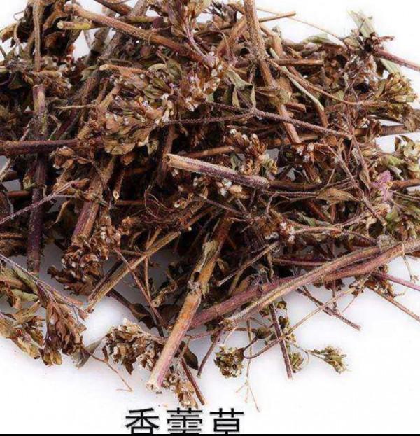 冬釣不偷懶，上魚才能多，揭穿釣魚大爺冬季釣魚多的秘密