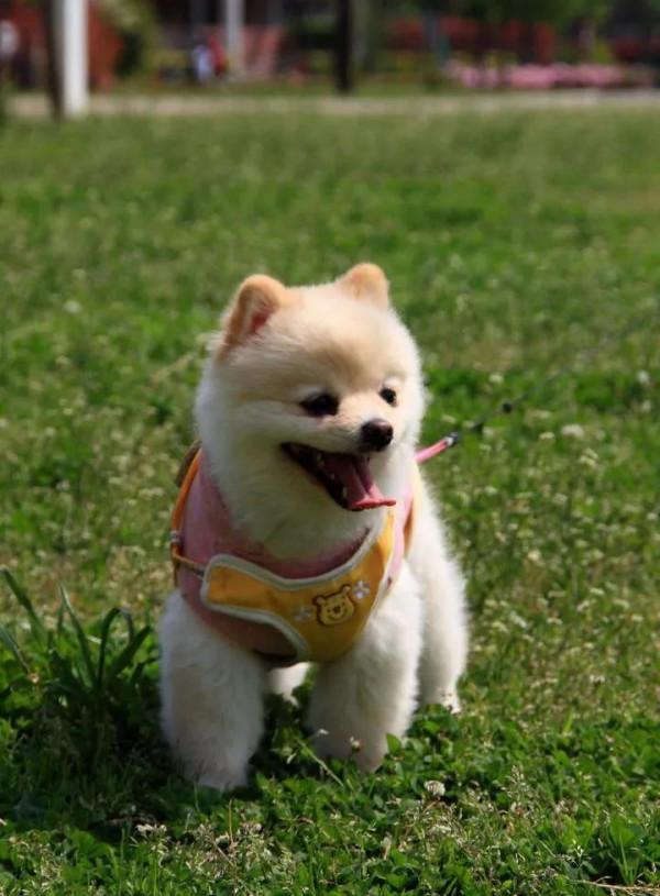 魔羯座的小個性 魔羯座的小個性