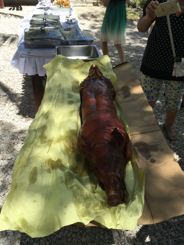 菲律賓—薄荷島遊記 菲律賓—薄荷島遊記