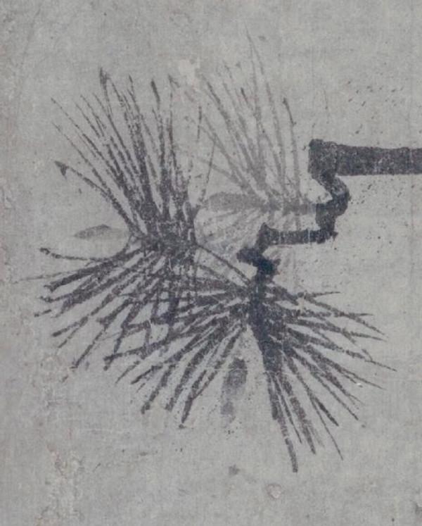 北宋一幅松鼠畫,簡單幾筆卻價值3500萬,細節做到以假亂真 北宋一幅松鼠畫,簡單幾筆卻價值3500萬,細節做到以假亂真