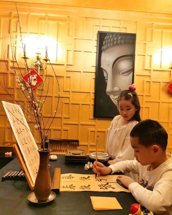 明星豪宅大對比，趙文卓豪宅大地種參天大樹，張智霖租房到買房