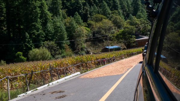 好傢伙，這條鮮為人知的路集合了所有藏地美景