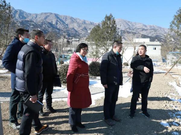 市農村發展中心領導帶隊到我區調研鄉村振興示範村“百師進百村”工作情況