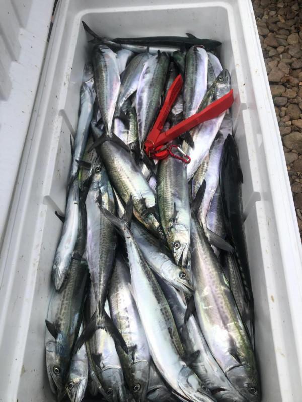 海釣小白的成長過程