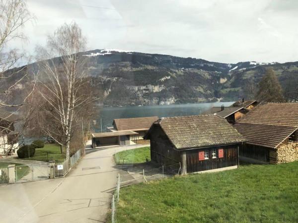 格林德瓦-誤入仙境的驚喜