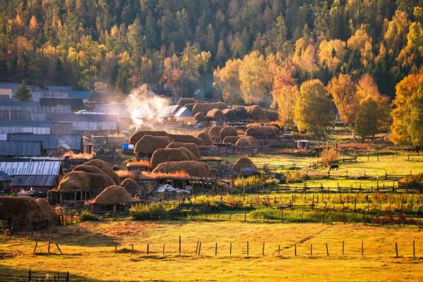 寒冬將至，在心裡重溫深秋的溫暖與美好