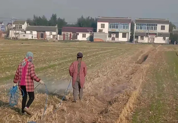 一個農資人的自述！2021如此艱難，2022可以這麼幹