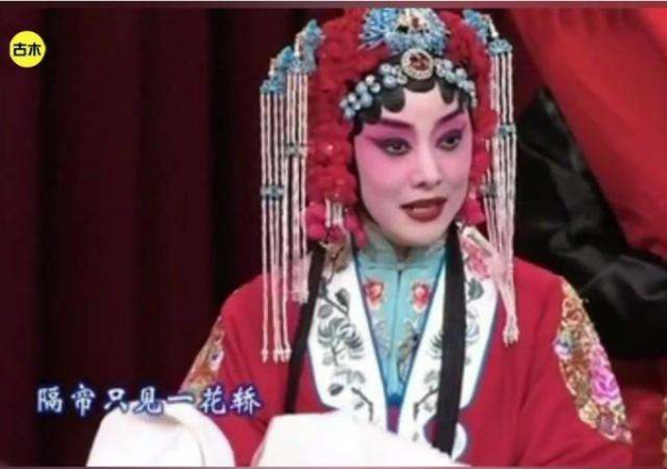 劉蓓：三婚再嫁張健，親兒子是她的開心果，大明星繼子卻讓她苦惱