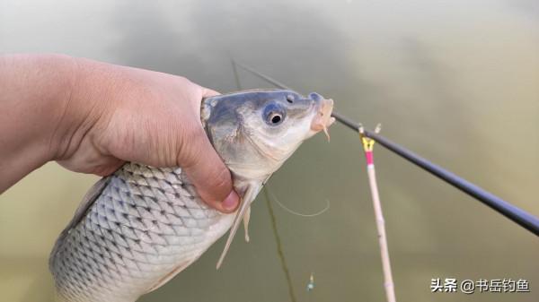 千元級釣竿值得買嗎？魚竿廠的真實想法，或許釣友從來沒有想到過