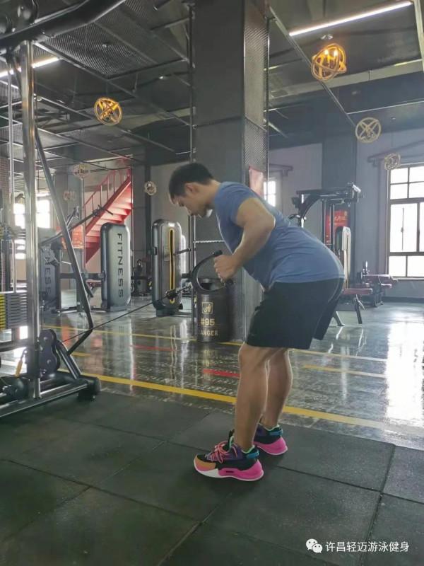 背部的訓練動作有哪些?該怎麼做 背部的訓練動作有哪些?該怎麼做