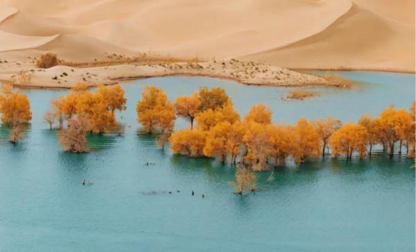 全國最美秋色即將陸續上線,你準備好去哪兒獵豔了嗎? 全國最美秋色即將陸續上線,你準備好去哪兒獵豔了嗎?