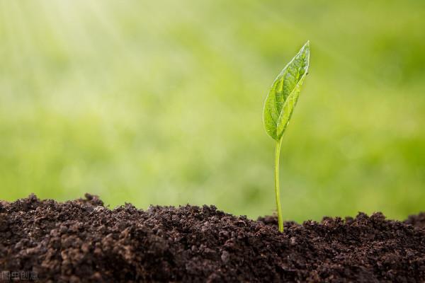 人生需要創新精神