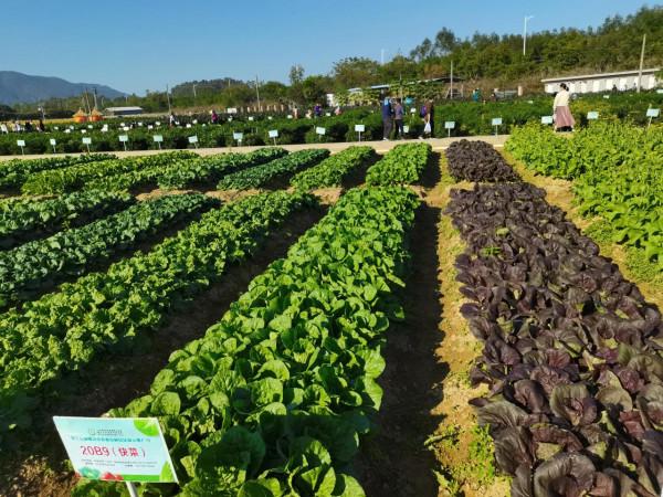 農科所—休閒娛樂