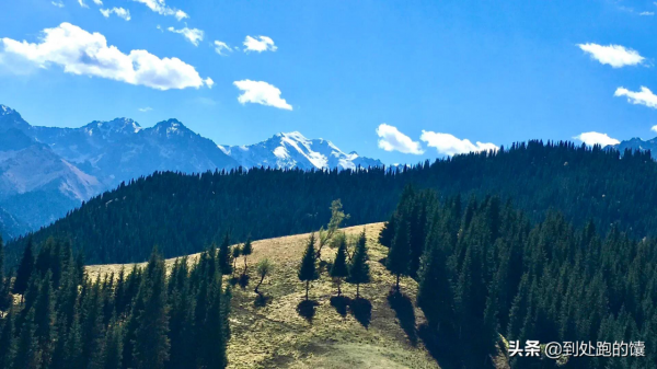東南溝到後峽的自駕之旅(後峽完美的穿越線路) 東南溝到後峽的自駕之旅(後峽完美的穿越線路)