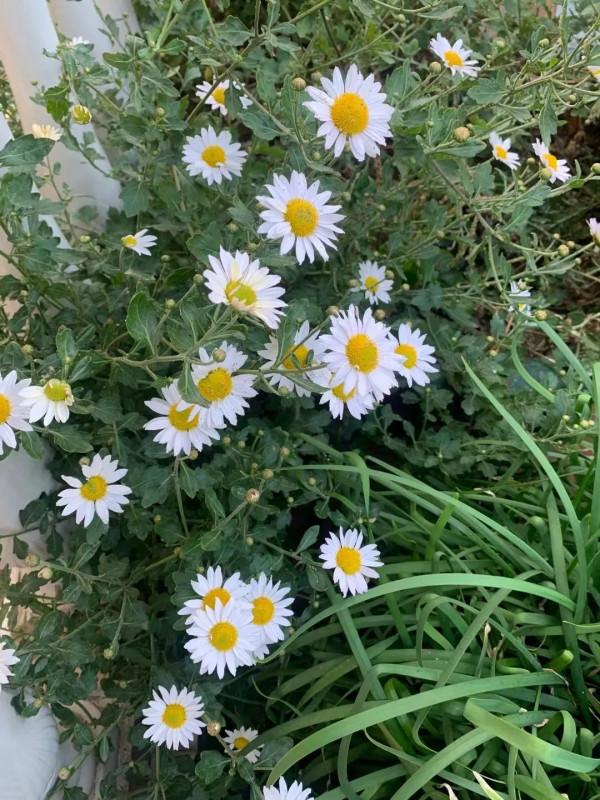 朋友圈2021年第31期